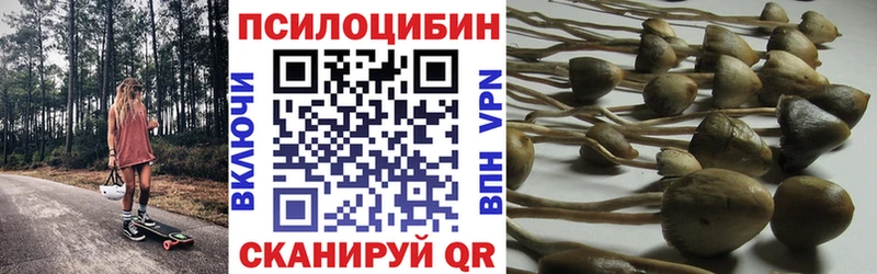 Псилоцибиновые грибы Psilocybine cubensis  Купить  Щёлково